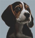 (image for) Beagle 5